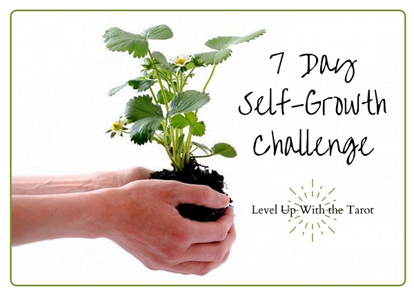 Self-Growth Challenge