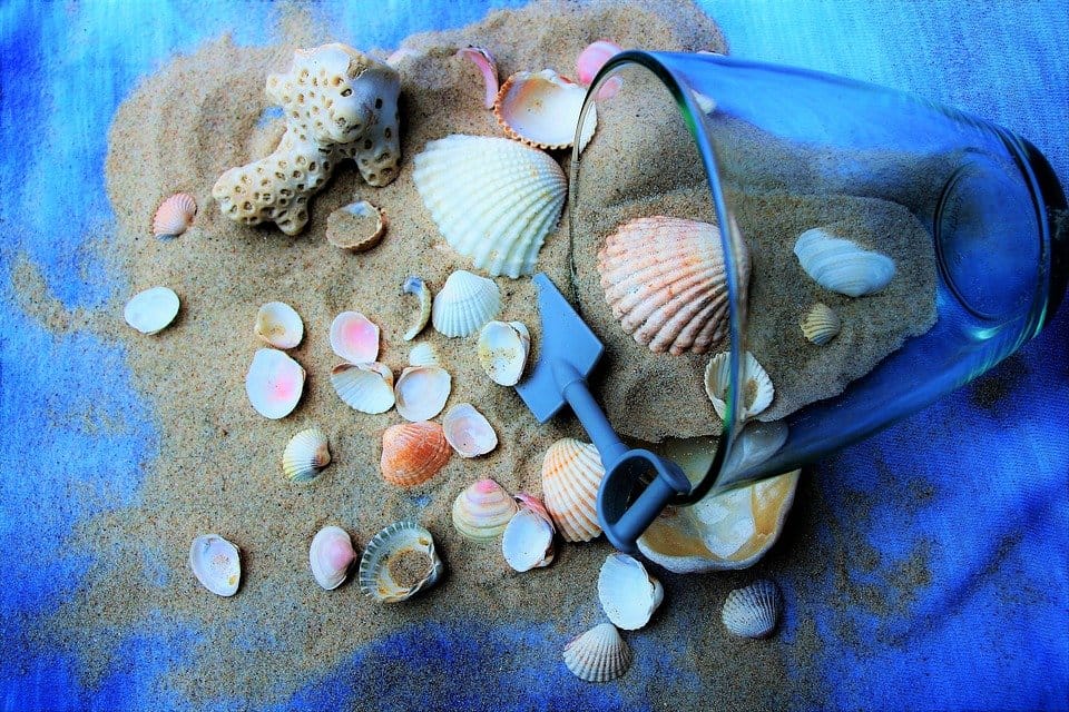 seashell divination